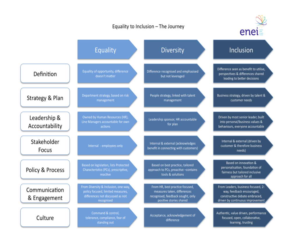 Diagram illustrates the steps, actions, and results of the equality to inclusion process for organisations.