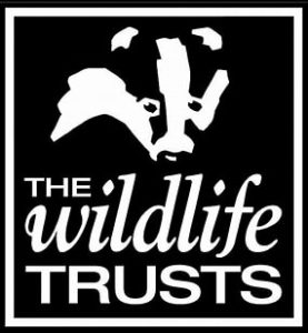 The Wildlife Trusts logo